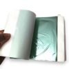 Open booklet of light green gold leaf foil sheets showing mint metallic shine