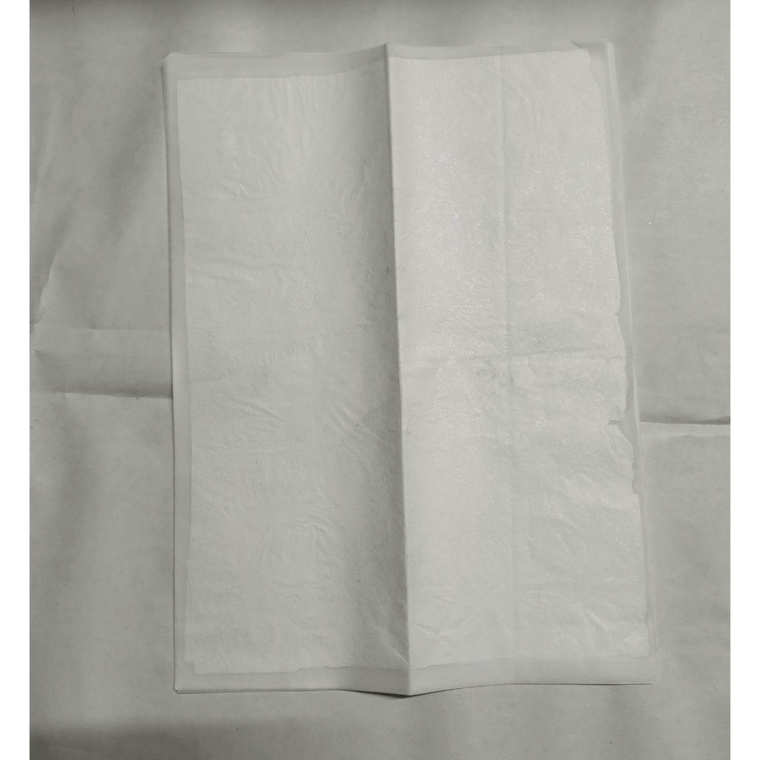 Closed silver leaf booklet in tissue paper wrapping